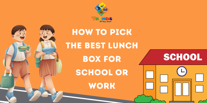 How To Pick The Best Lunch Box For School or Work