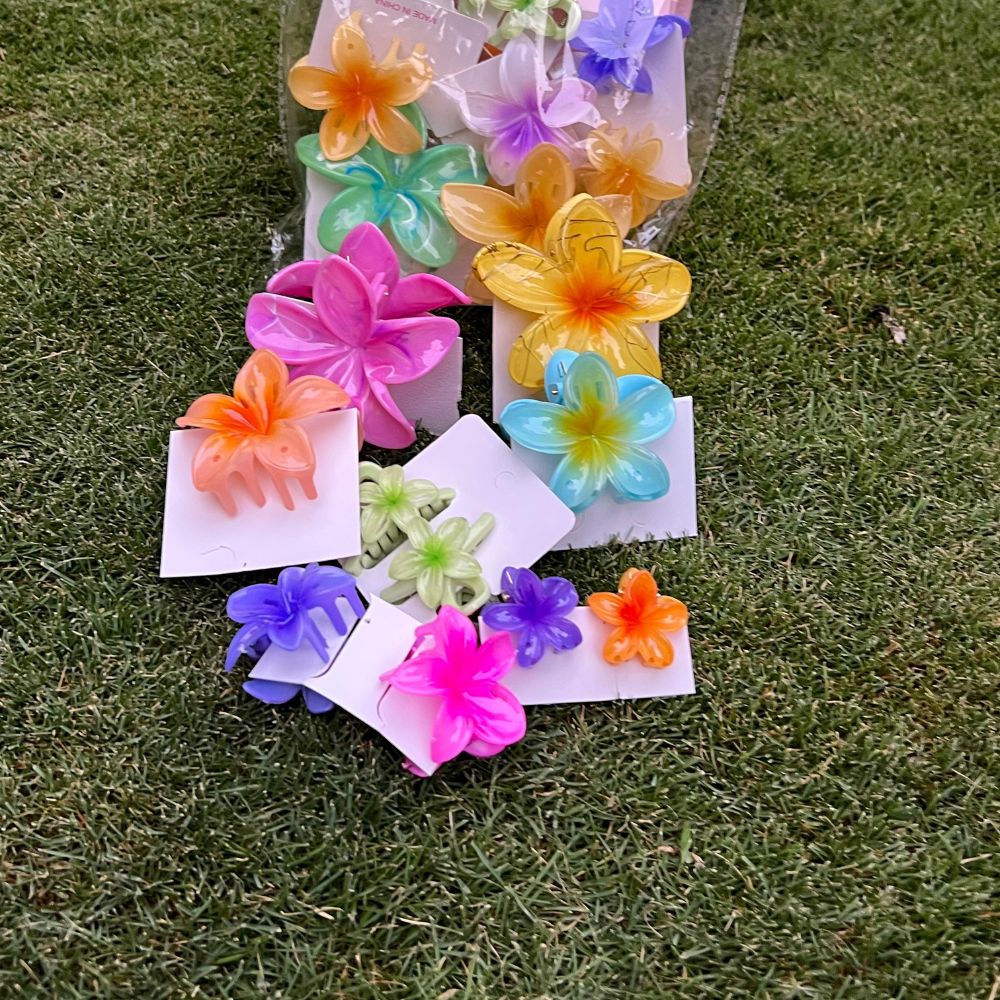 Pretty Pop Claw Clips Bag