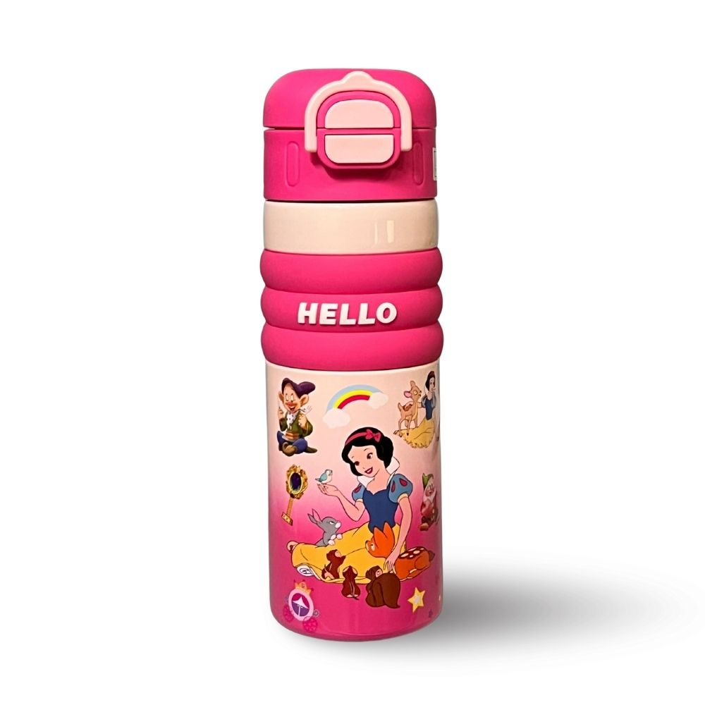 Water Bottle Flask Double Insulated 2025 C4