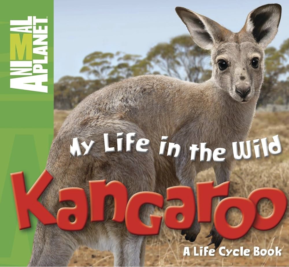 MY LIFE IN THE WILD KANGAROO