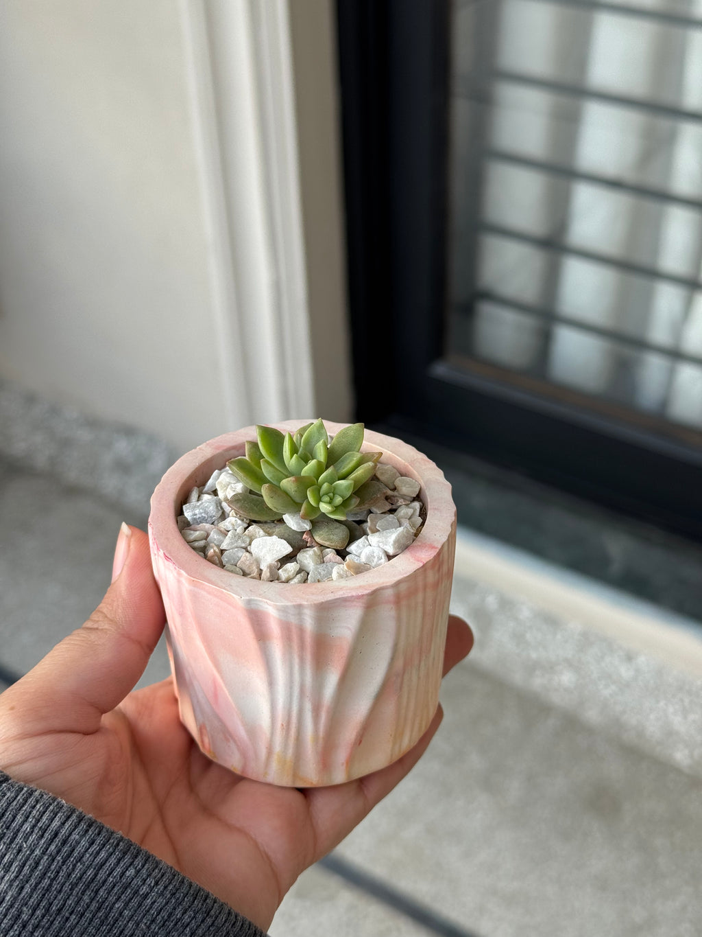 Echeveria Succulent in Handcrafted Ceramic Planter – “Azure Ripple” Trinket Planter