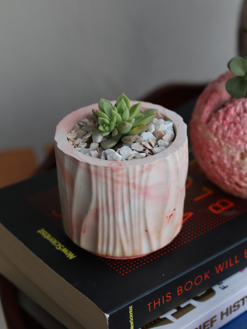 Echeveria Succulent in Handcrafted Ceramic Planter – “Azure Ripple” Trinket Planter