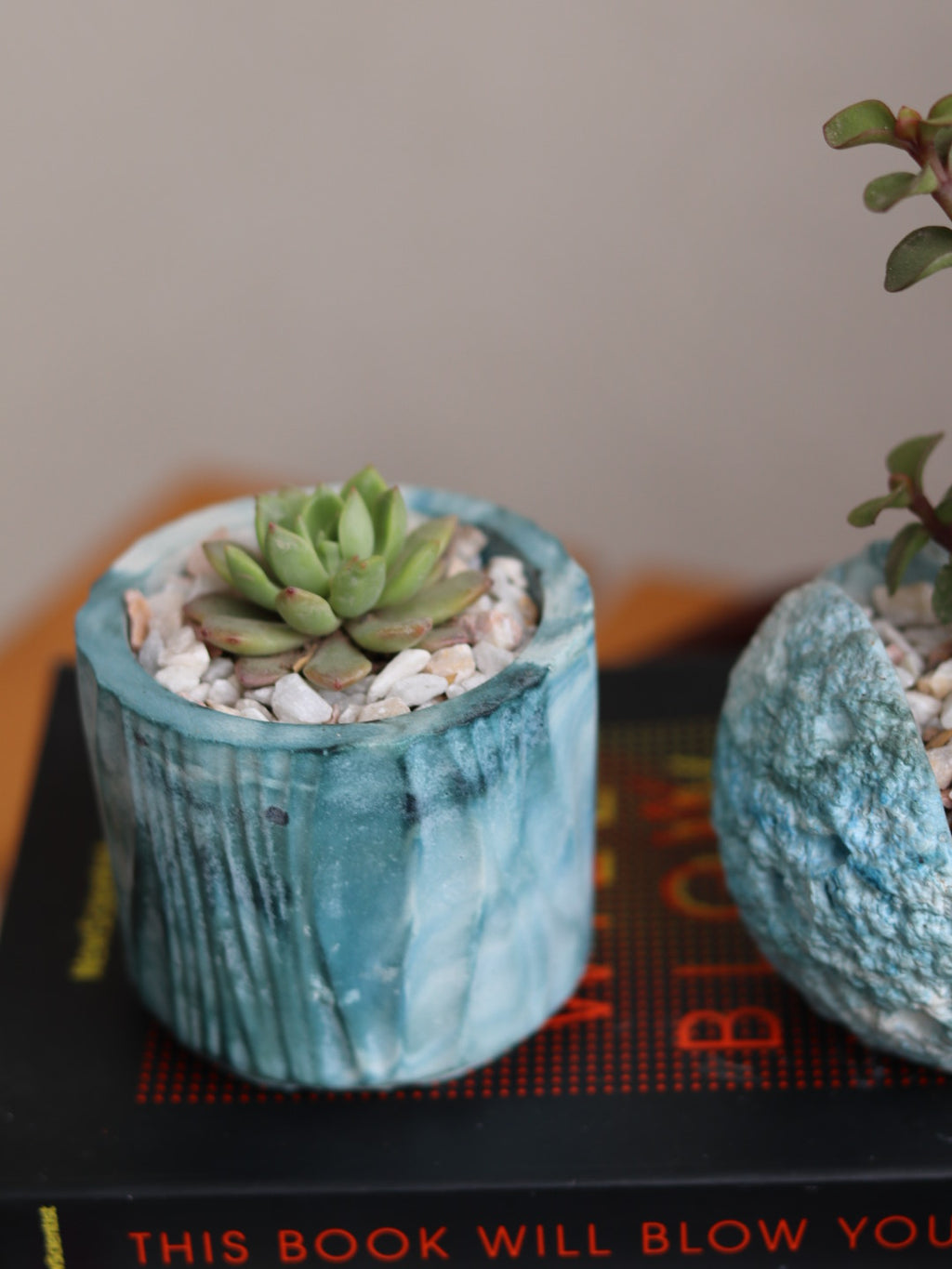 Echeveria Succulent in Handcrafted Ceramic Planter – “Azure Ripple” Trinket Planter