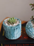 Echeveria Succulent in Handcrafted Ceramic Planter – “Azure Ripple” Trinket Planter