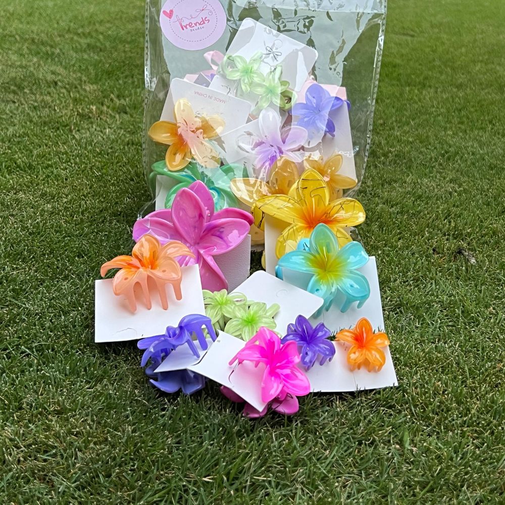 Pretty Pop Claw Clips Bag