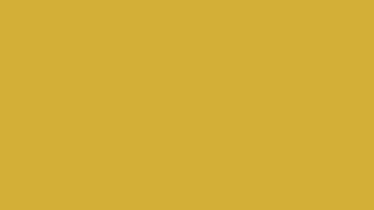 CHART PAPER (PACK OF 5)